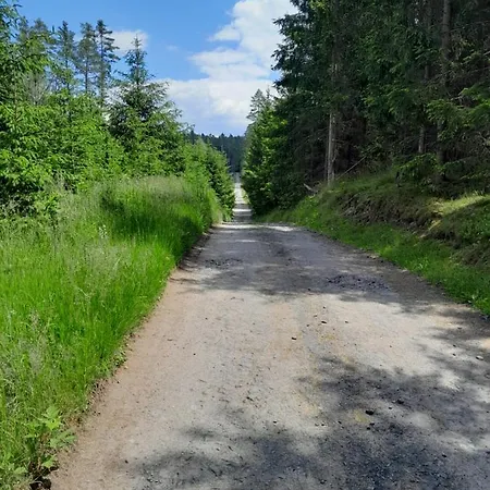 Na Stare Papirne