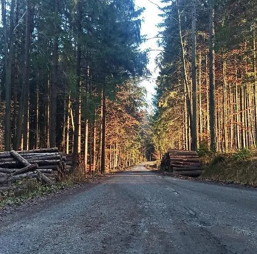 Apartmán Na Staré Papírně