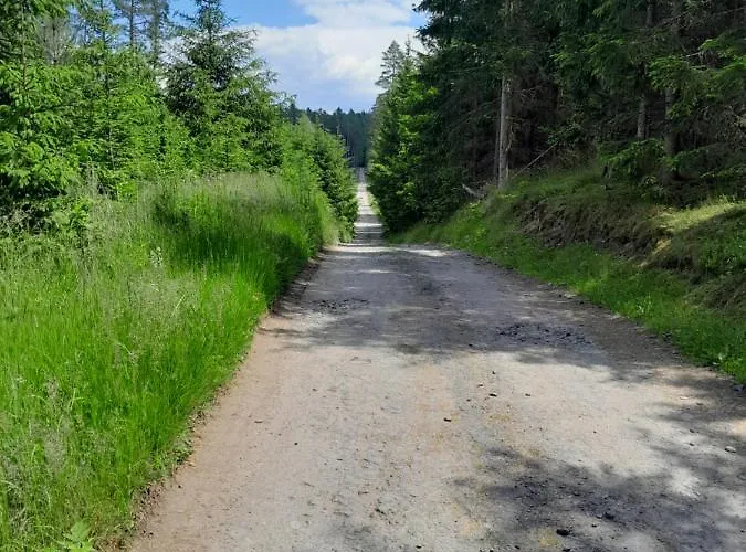 Na Stare Papirne